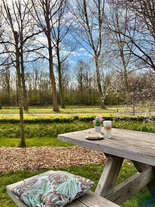 Hotel Molengroet image 29